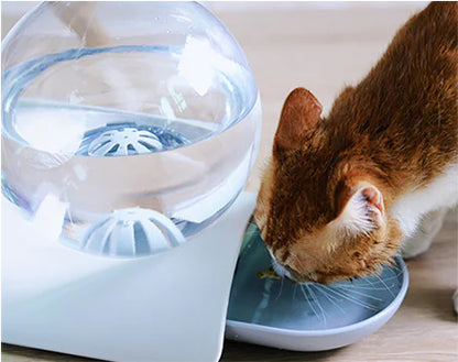 FreshPaws™ Dispenser Automatico d'Acqua per Cani e Gatti